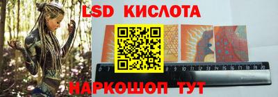 стаф Новодвинск