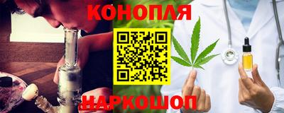 стаф Новодвинск