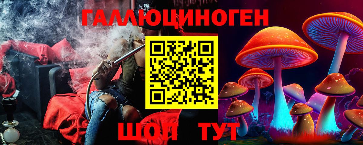 Шарыпово  Галлюциногенные грибы прущие грибы  Вход с VPN  Псилоцибиновые грибы Magic Shrooms 