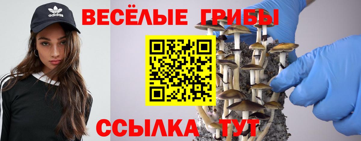 Псилоцибиновые грибы ЛСД Шарыпово