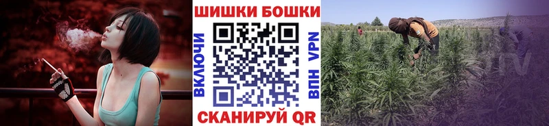 Бошки марихуана планчик мега сайт Шарыпово наркошоп